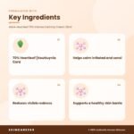 ANUA Heartleaf 70% Intense Calming Cream 50ml Key Ingredients