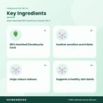 ANUA Heartleaf 80% Soothing Ampoule 30ml Key Ingredients