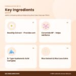 ARENCIA Rosehip Mild pH Balancing Rice Cake Cleanser 150ml Key Ingredients