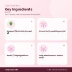 AXIS-Y Mugwort Pore Clarifying Wash Off Pack 100ml Key Ingredients