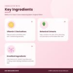 BANILA CO Clean it Zero Cleansing Balm Original 100ml Key Ingredients