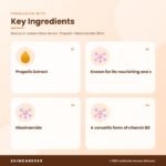 Beauty of Joseon Glow Serum : Propolis +Niacinamide 30ml Key Ingredients