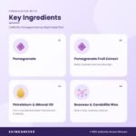 CARE:NEL Pomegranate Lip Night Mask 5ml Key Ingredients