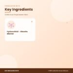COSRX Acne Pimple Master Patch Key Ingredients