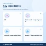COSRX Ultimate Nourishing Rice Overnight Spa Mask 60ml Key Ingredients