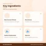 DABO Rice Ferment Foam 100ml Key Ingredients