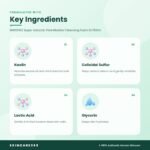 INNISFREE Super Volcanic Pore Micellar Cleansing Foam 2x 150ml Key Ingredients