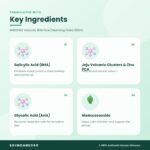 INNISFREE Volcanic BHA Pore Cleansing Foam 150ml Key Ingredients