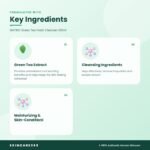 ISNTREE Green Tea Fresh Cleanser 120ml Key Ingredients