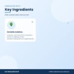 IUNIK Centella Edition Skincare Set Key Ingredients