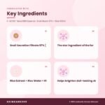 K-SECRET Seoul1988 Essence : Snail Mucin 97% + Rice 100ml Key Ingredients