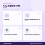 MEDICUBE Exosome Cica Serum 30ml Key Ingredients