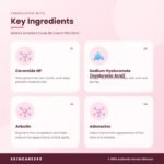 MISSHA M Perfect Cover BB Cream PRO 20ml Key Ingredients