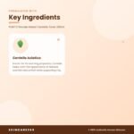PURITO Wonder Releaf Centella Toner 200ml Key Ingredients