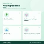 PURITO Wonder Releaf Centella Toner Unscented 200ml Key Ingredients