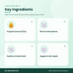 SOME BY MI Propolis B5 Glow Barrier Calming Serum 50ml Key Ingredients