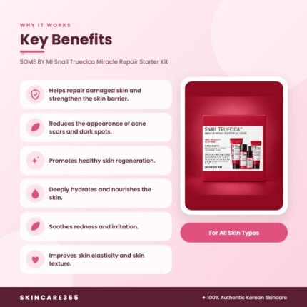SOME BY MI Snail Truecica Miracle Repair Starter Kit Key Benefits