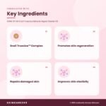SOME BY MI Snail Truecica Miracle Repair Starter Kit Key Ingredients