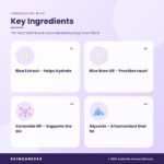 THE FACE SHOP Rice & Ceramide Moisturizing Toner 150ml Key Ingredients